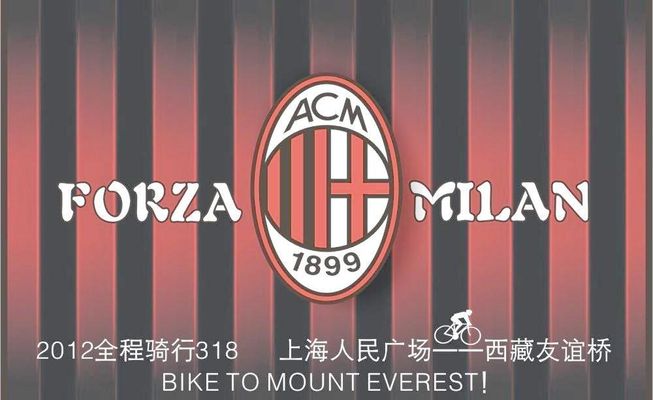 篮球CBA球队训练营全员参与